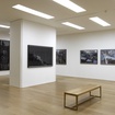The Other Wave: Contemporary Chinese Photography